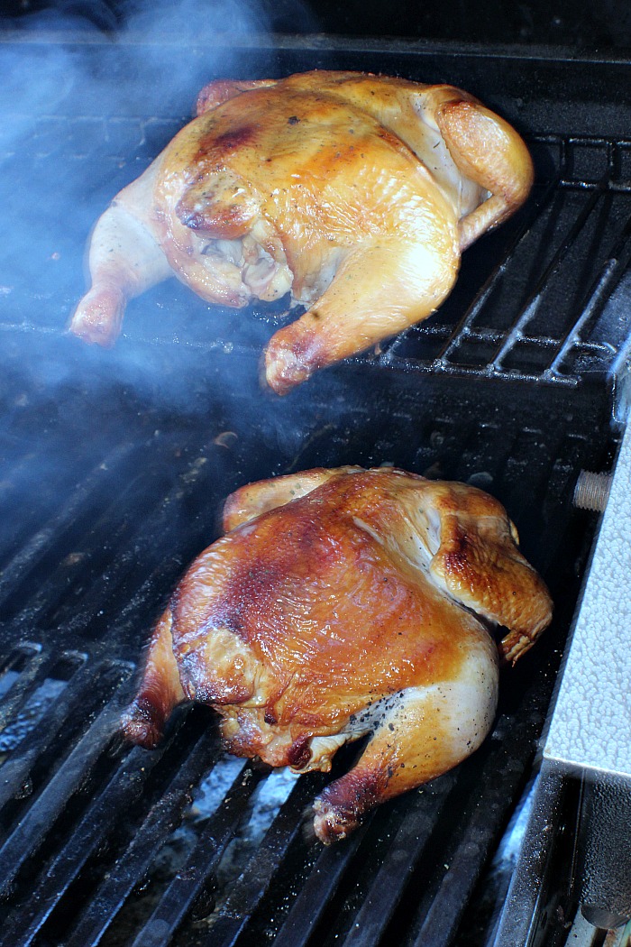 Part of the secret of Cold Smoked Cornish Game Hens is in the brine, that helps to flavor the hens. Once you get a cold smoker generator it is so easy to learn how to cold smoke, and once you get started on doing this you will be hooked and find ways to cold smoke every thing that you can! 