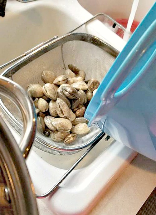 Clams being dropped into over the sink strainer to rinse