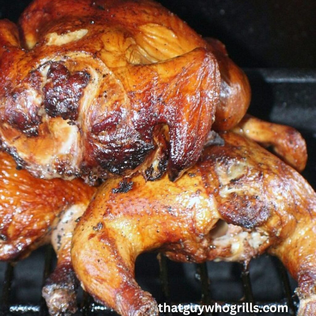 Cold Smoked Cornish Game Hens On Top Gas Grill Rack