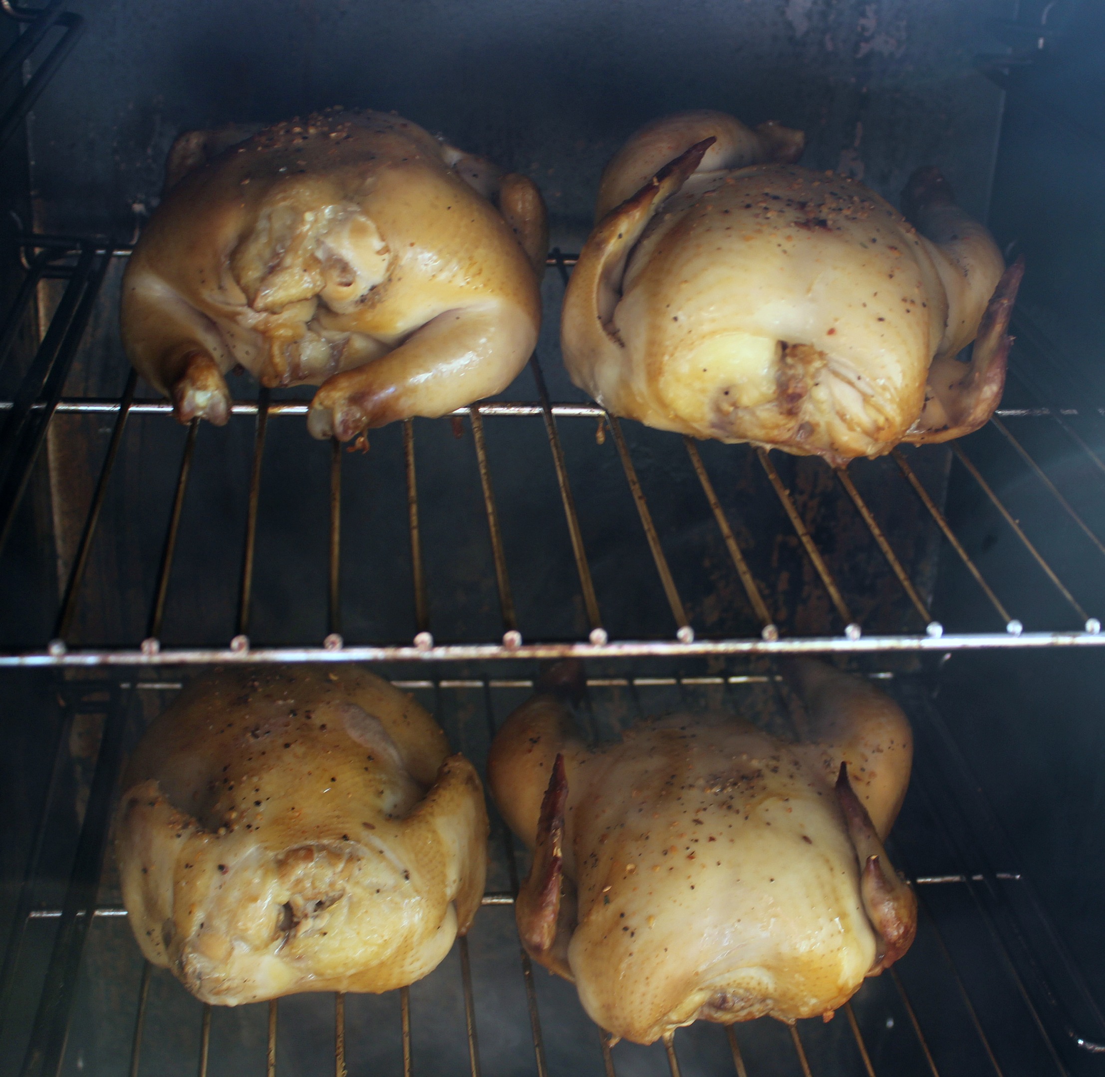 Smoked Cornish Game Hens are perfect to smoke for a dinner!! Use a homemade brine to add flavor and the leftovers make amazing soup too!