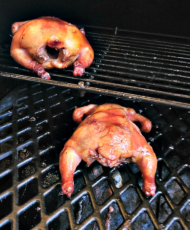 This Smoked Coca Cola Cornish Game Hens Recipe is perfect to make on your smoker! The Coca-Cola brine adds flavor and tenderness to the hens. Using a brine allows the meat to tenderize but also adds flavor as well.