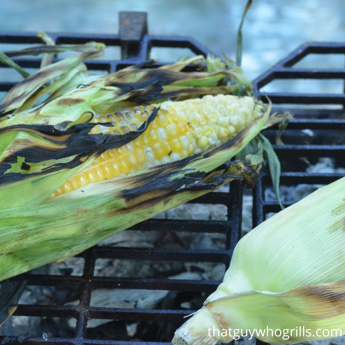 Corn On The Cob Grilling On A Charcoal Grill