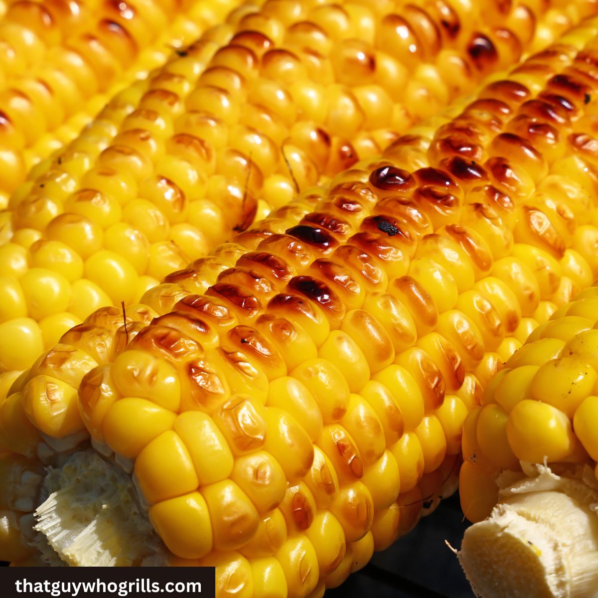 Grilled Corn on the cob 
