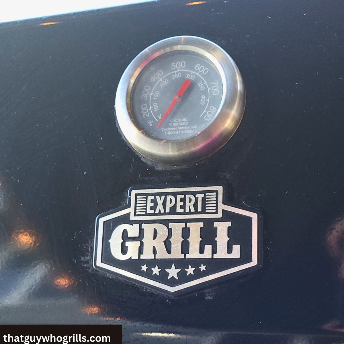 Thermometer and log on an expert grill