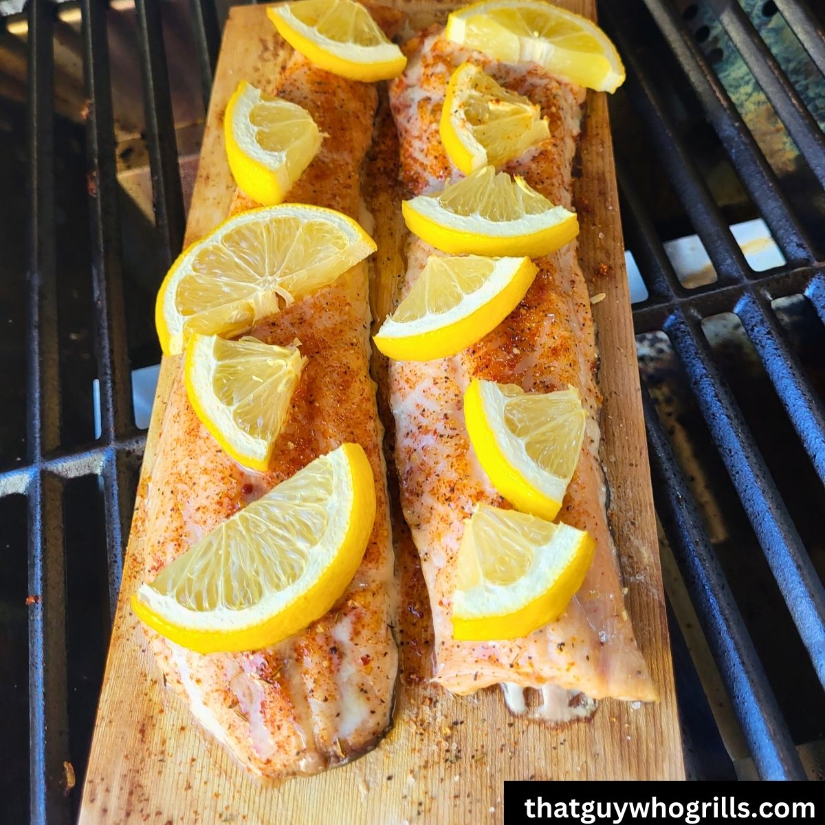 Grilled salmon on a cedar plank cooking on a gas grill
