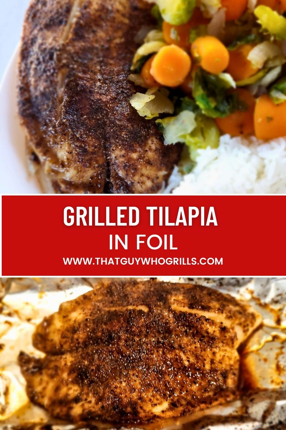 Grilled Tilapia In Foil 