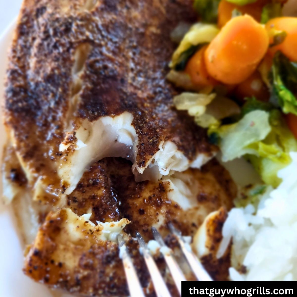 Grilled Tilapia with piece ripped open with fork
